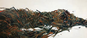 Nancy Crawford “Seaweed” Oil Painting 36 x 48